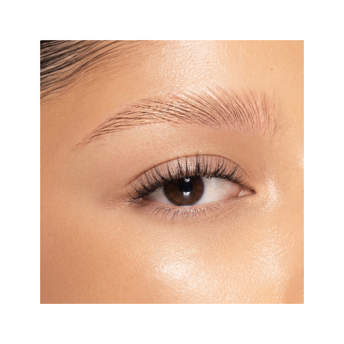 2026_PMG_Eyes_Invisibrow_Shade2_Macro_Edits_Biel_1.jpg