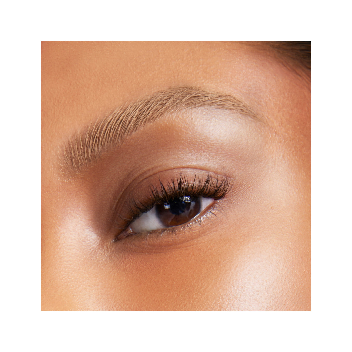 2026_PMG_Eyes_Invisibrow_Shade3_Macro_Edits_Biel_1.jpg